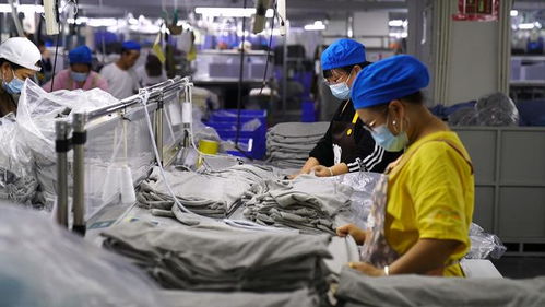 四新 四化 鏡距離 烏蒙大山里的制衣工廠,產品遠銷海外